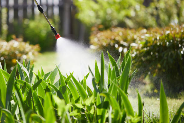 24/7 Emergency Mosquito Control experts in Winchester, IN